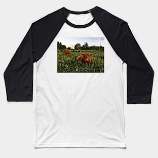 Scottish Highland Cattle Cows 2423 Baseball T-Shirt